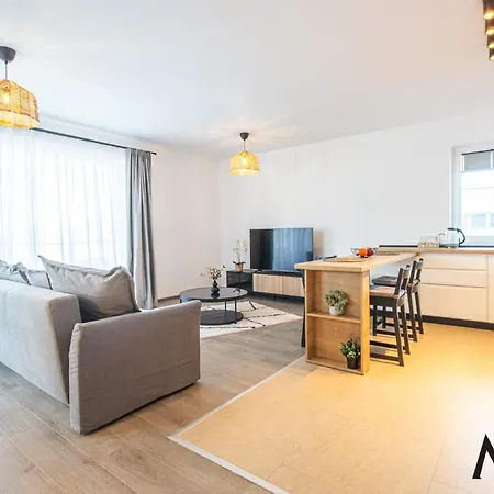 Mohost Alexa - Mountain View Brasov