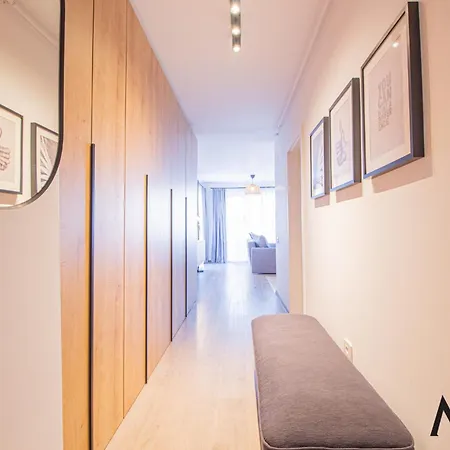 Mohost Alexa - Mountain View * Brasov