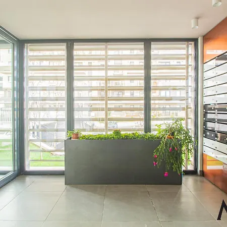 Mohost Alexa - Scenic In Apartmán Brašov