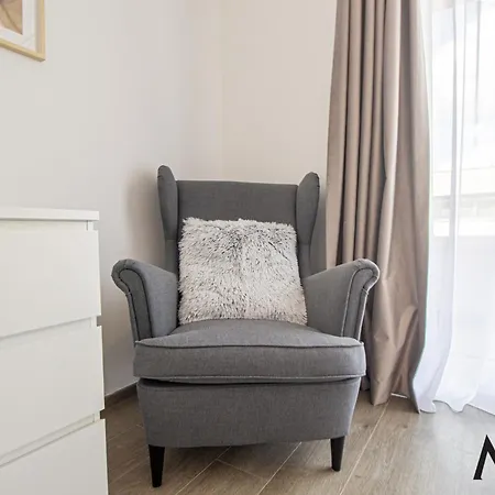 Mohost Alexa - Mountain View Brasov