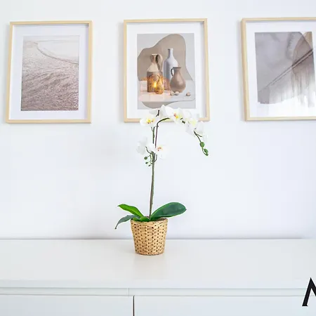 Apartmán Mohost Alexa - Scenic In Brašov